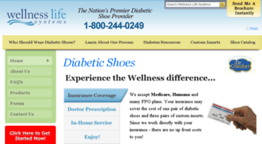 wellnesslifesystems.com