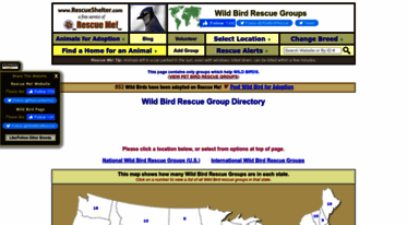 wildbird.rescueshelter.com