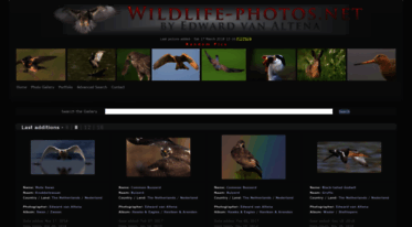 wildlife-photos.net