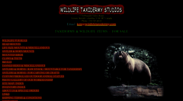 wildlifetaxidermy.com