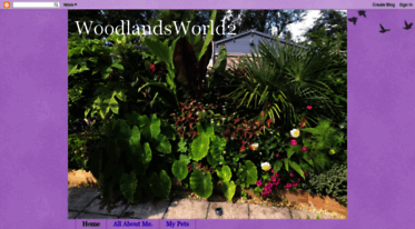 woodlandsworld2.blogspot.com