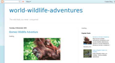 world-wildlife-adventures.blogspot.com