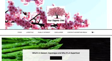 yourorganicchild.com